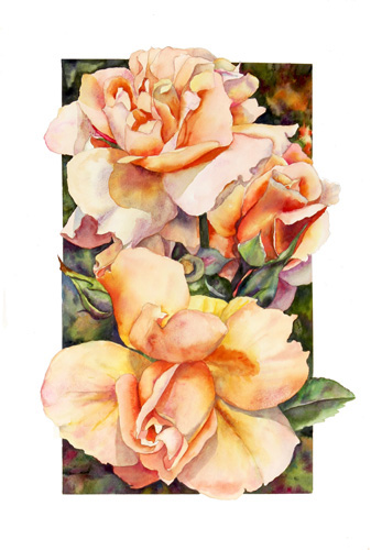 Just Joey rose watercolor by Sally Robertson